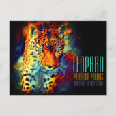 Leopard [Postcard] ポストカード (正面)