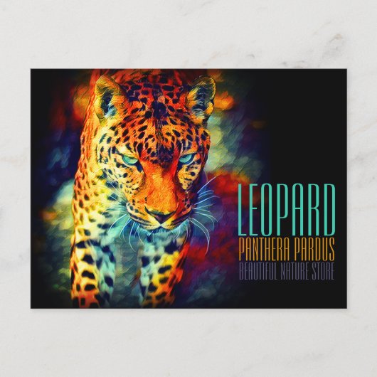Leopard [Postcard] ポストカード (正面)