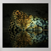 Leopard Poster ポスター (正面)