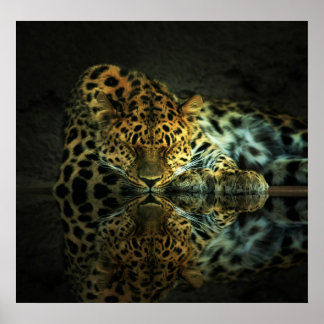 Leopard Poster ポスター
