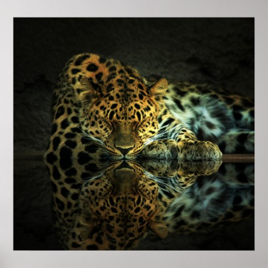 Leopard Poster ポスター (正面)