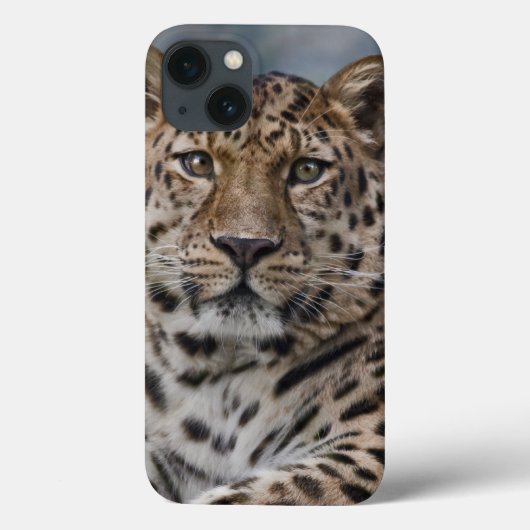 Leopard Thoughts iPadケース Case-Mate iPhoneケース (裏面)