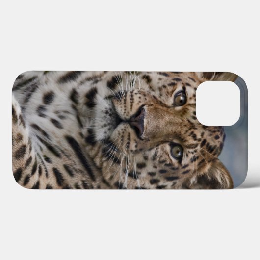 Leopard Thoughts iPadケース Case-Mate iPhoneケース (裏面 (横))