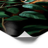 Leopard wildlife ポスター (コーナー)