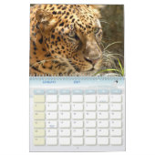 LeopardCheetaro013のヒョウ カレンダー (1月 2027)