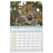 LeopardCheetaro013のヒョウ カレンダー (2月 2027)