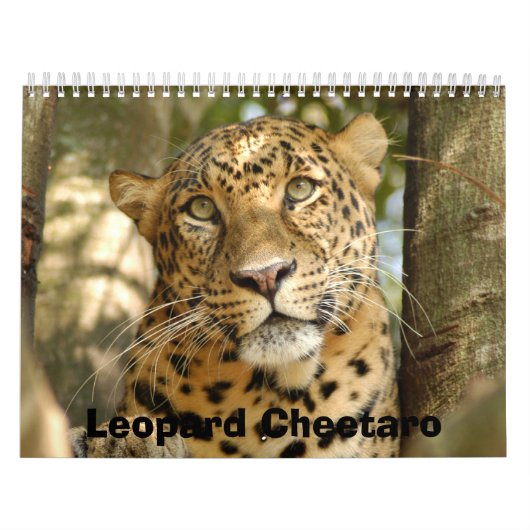 LeopardCheetaro013のヒョウCheetaro カレンダー (カバー)