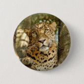 LeopardCheetaro013 缶バッジ (正面)