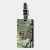 LeopardSundari_007 ラゲッジタグ (正面縦)