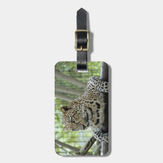 LeopardSundari_007 ラゲッジタグ (正面縦)