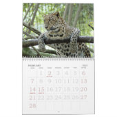 LeopardSundari_008のヒョウSundari カレンダー (2月 2027)