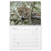 LeopardSundari_008のヒョウSundari カレンダー (1月 2027)