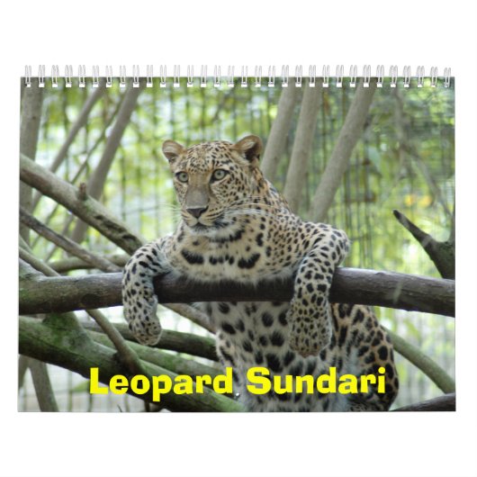 LeopardSundari_008のヒョウSundari カレンダー (カバー)