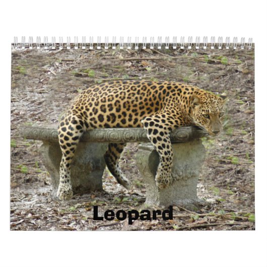 LeopardSundari_010のヒョウ カレンダー (カバー)