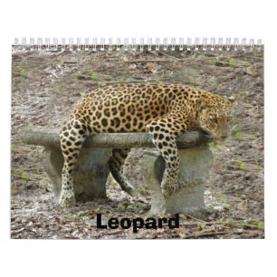 LeopardSundari_010のヒョウ カレンダー