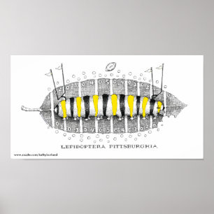 Lepidoptera Pittsburghia-Zazzle, www.zazzle.com... ポスター