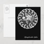 Lepoglavaのレース ポストカード (正面/裏面)