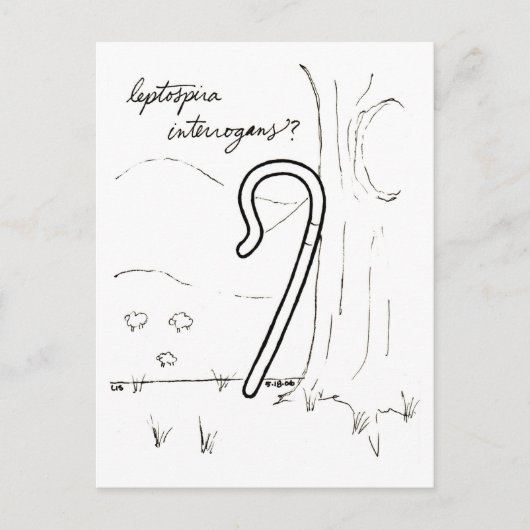Leptospira Interrogansはがき ポストカード (正面)