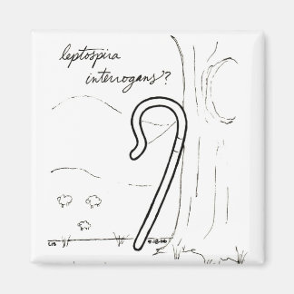 Leptospira Interrogans磁石 マグネット