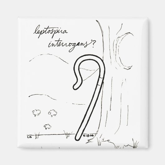 Leptospira Interrogans磁石 マグネット (正面)