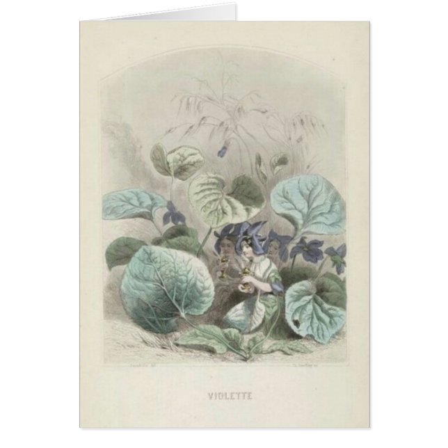 Lesのすみれ色のフルーア (正面)