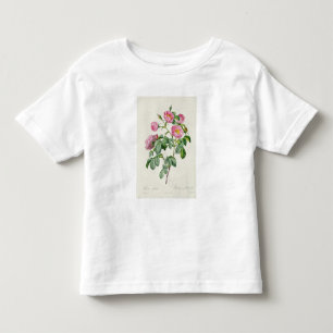 「LesのバラからのローザMollissima、 トドラーTシャツ