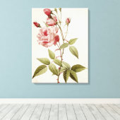 LesバラよりRosa Indica Vulgaris キャンバスプリント (インサイチュ (ウッドフロア))