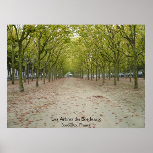 Les Arbres du Bordeaux ポスター