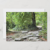 Les bambous (正面)