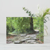 Les bambous (スタンド正面)