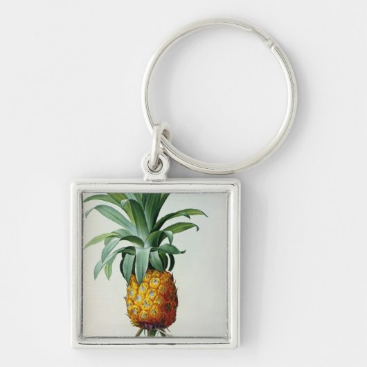 「Les BromeliaceesからのBromeliaのAnanas、 キーホルダー (正面)