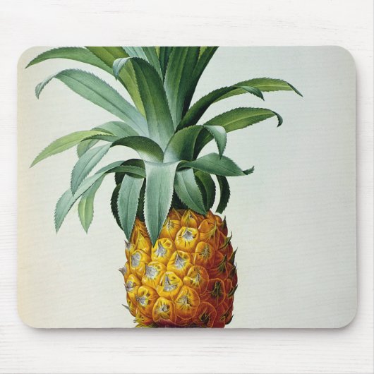 「Les BromeliaceesからのBromeliaのAnanas、 マウスパッド (正面)
