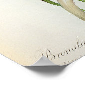 Les BromeliacesのBromelia Ananas ポスター (角)