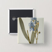 "Les Liliacees」からのアイリスPallida、1812年 缶バッジ (正面&裏面)