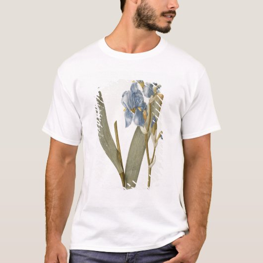 "Les Liliacees」からのアイリスPallida、1812年 Tシャツ (正面)
