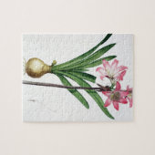 「Les Liliacees」からのアマリリスのベラドンナ、engrav ジグソーパズル (横)