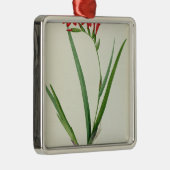 "Les Liliacees」からのグラジオラスCardinalis、1805年 メタルオーナメント (右)