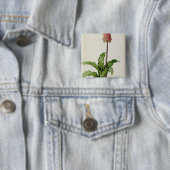 "Les Liliacees」からのVeltheimiaのCapensis、c.1805 缶バッジ (インサイチュ)