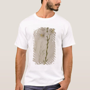 "Les Liliacees」から、Candidumユリ1807年 Tシャツ