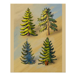 Les quatres variétés de sapins, botanique. ポスター