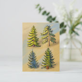 Les quatres variétés de sapins, botanique. ポストカード (スタンド正面)