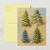 Les quatres variétés de sapins, botanique. ポストカード (正面/裏面)