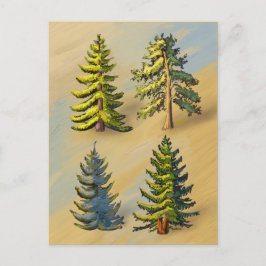 Les quatres variétés de sapins, botanique. ポストカード