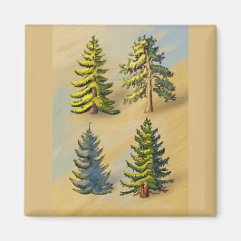 Les quatres variétés de sapins, botanique. マグネット