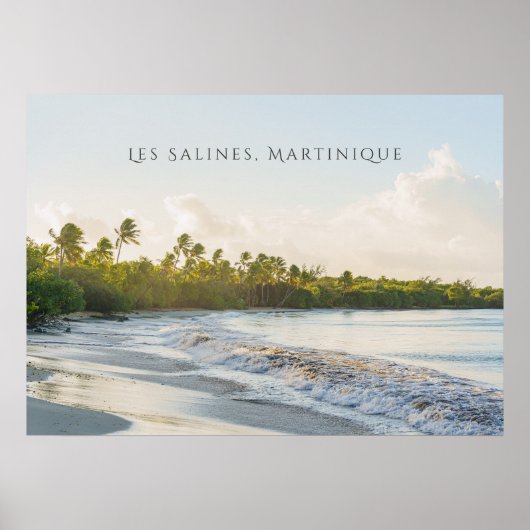 Les Salines beach Martinique Scenic travel  ポスター (正面)
