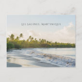 Les Salines beach Martinique Scenic travel ポストカード (正面)