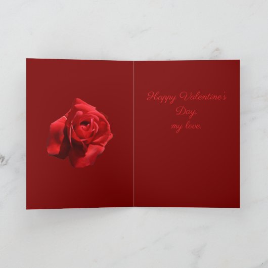 Lesbian Lovers Harmony Together Vector White  カード (内部)