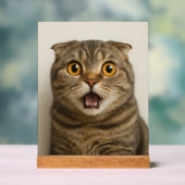 Lesbians Eat What Funny アクリルサイン (ニュートラル)