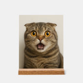 Lesbians Eat What Funny アクリルサイン (正面)