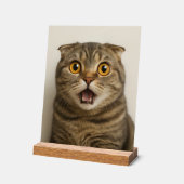 Lesbians Eat What Funny アクリルサイン (傾斜)